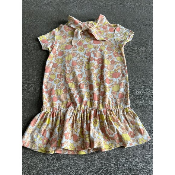 misha and puff ruffle sleeve dress 5-6y Misha&Puff / Ruffle Sleeve